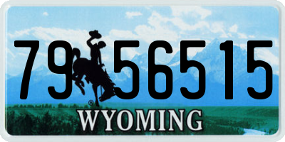 WY license plate 7956515