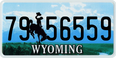 WY license plate 7956559