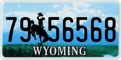 WY license plate 7956568