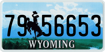 WY license plate 7956653