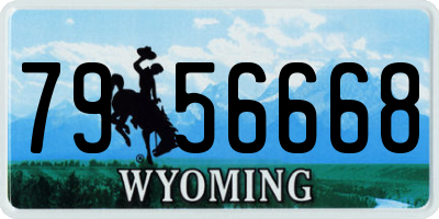 WY license plate 7956668
