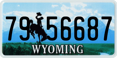 WY license plate 7956687