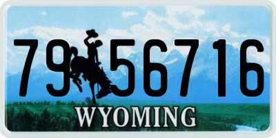 WY license plate 7956716