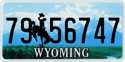 WY license plate 7956747