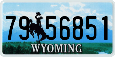 WY license plate 7956851