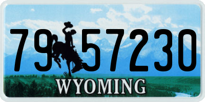 WY license plate 7957230