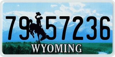 WY license plate 7957236
