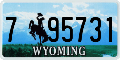 WY license plate 795731