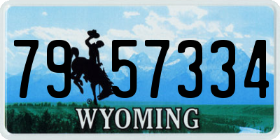WY license plate 7957334