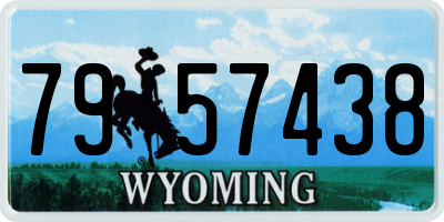 WY license plate 7957438