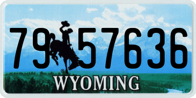 WY license plate 7957636