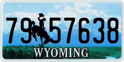WY license plate 7957638