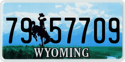 WY license plate 7957709
