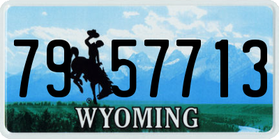 WY license plate 7957713