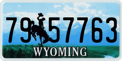 WY license plate 7957763
