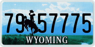 WY license plate 7957775