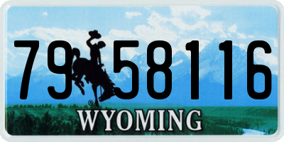 WY license plate 7958116