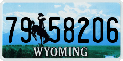 WY license plate 7958206