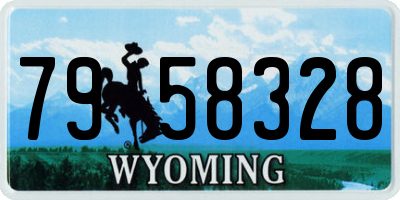 WY license plate 7958328