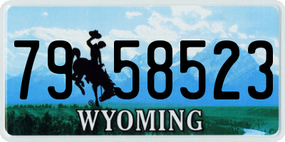 WY license plate 7958523
