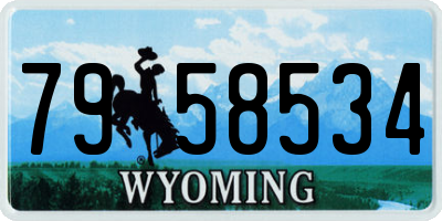 WY license plate 7958534