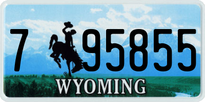 WY license plate 795855