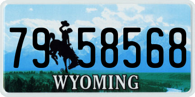WY license plate 7958568