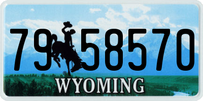 WY license plate 7958570