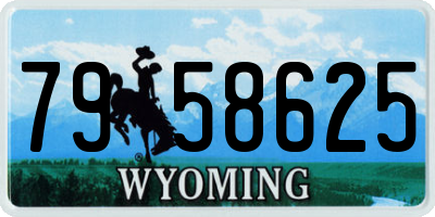 WY license plate 7958625