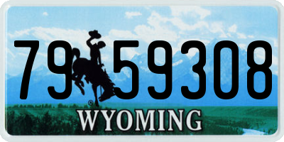 WY license plate 7959308