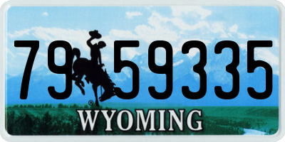 WY license plate 7959335