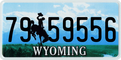 WY license plate 7959556
