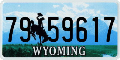 WY license plate 7959617