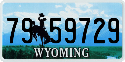 WY license plate 7959729