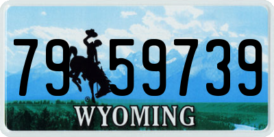 WY license plate 7959739
