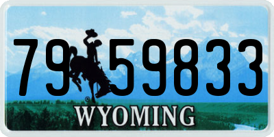 WY license plate 7959833