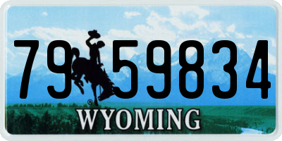 WY license plate 7959834