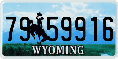 WY license plate 7959916