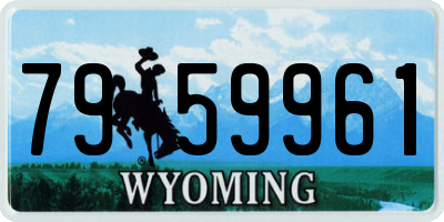 WY license plate 7959961