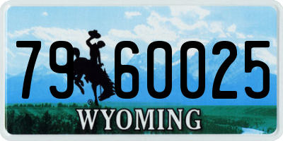 WY license plate 7960025