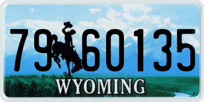 WY license plate 7960135