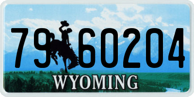 WY license plate 7960204