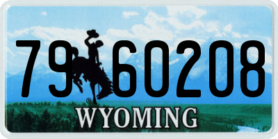 WY license plate 7960208