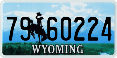 WY license plate 7960224