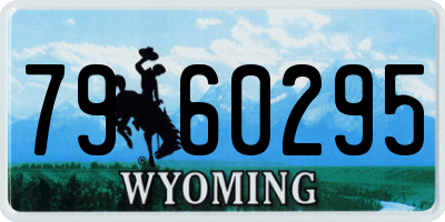 WY license plate 7960295