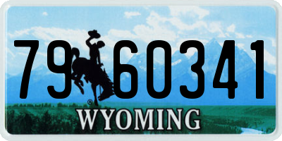WY license plate 7960341