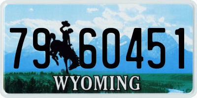 WY license plate 7960451