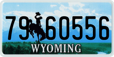 WY license plate 7960556
