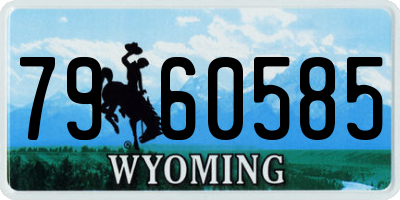 WY license plate 7960585