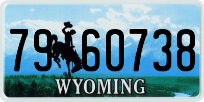 WY license plate 7960738